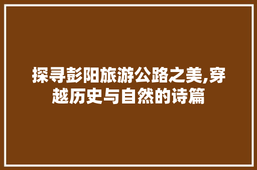 探寻彭阳旅游公路之美,穿越历史与自然的诗篇