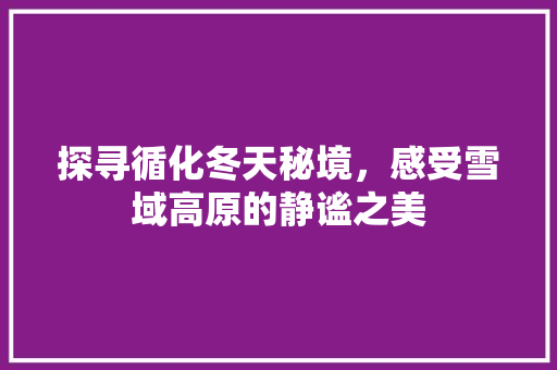 探寻循化冬天秘境，感受雪域高原的静谧之美