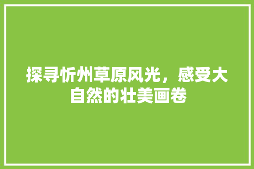 探寻忻州草原风光，感受大自然的壮美画卷