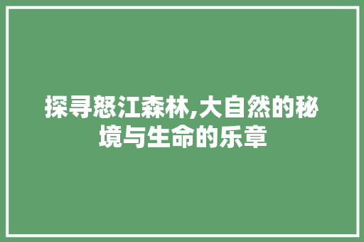 探寻怒江森林,大自然的秘境与生命的乐章