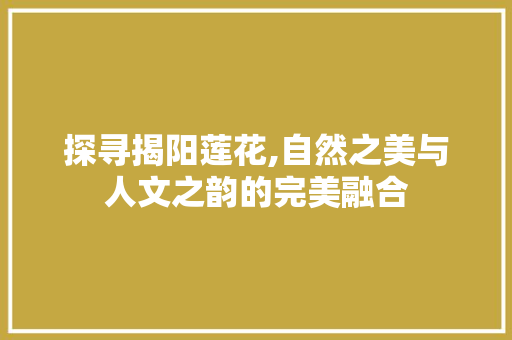 探寻揭阳莲花,自然之美与人文之韵的完美融合