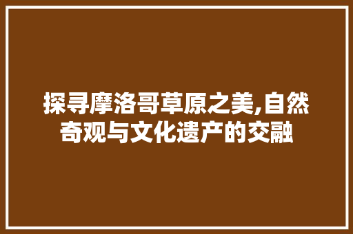 探寻摩洛哥草原之美,自然奇观与文化遗产的交融