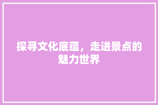 探寻文化底蕴，走进景点的魅力世界