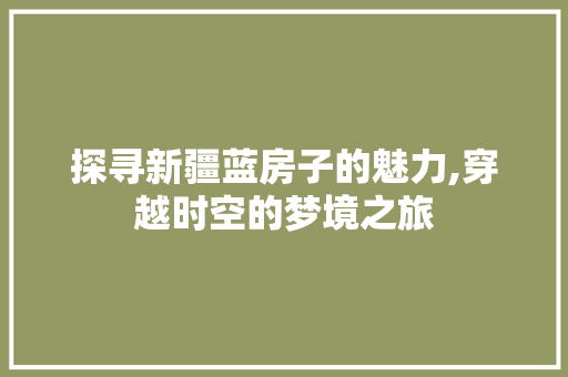 探寻新疆蓝房子的魅力,穿越时空的梦境之旅