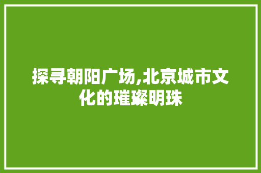 探寻朝阳广场,北京城市文化的璀璨明珠