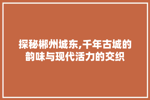 探秘郴州城东,千年古城的韵味与现代活力的交织