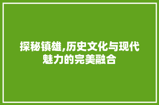 探秘镇雄,历史文化与现代魅力的完美融合  第1张