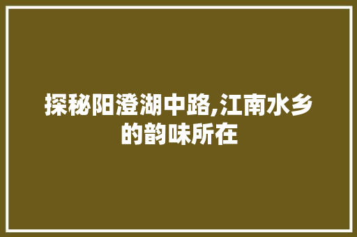 探秘阳澄湖中路,江南水乡的韵味所在