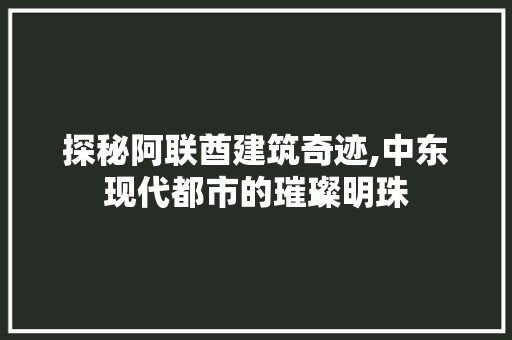 探秘阿联酋建筑奇迹,中东现代都市的璀璨明珠