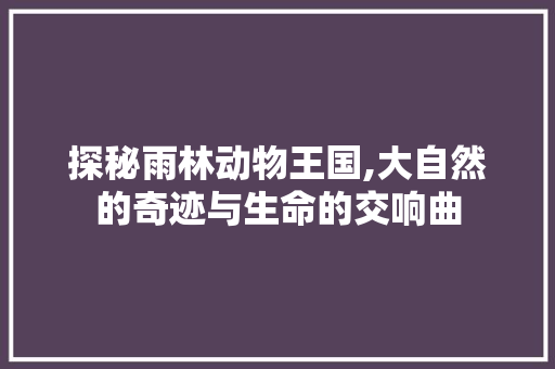 探秘雨林动物王国,大自然的奇迹与生命的交响曲