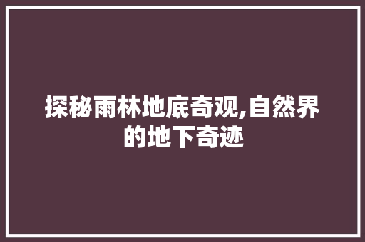 探秘雨林地底奇观,自然界的地下奇迹