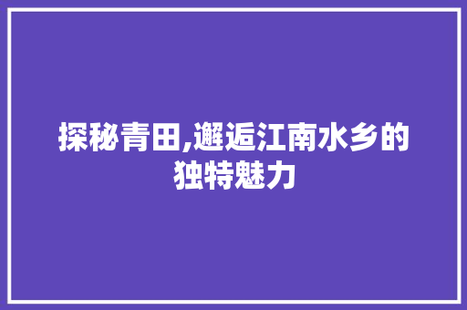 探秘青田,邂逅江南水乡的独特魅力