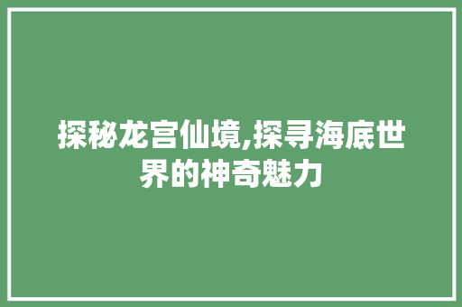 探秘龙宫仙境,探寻海底世界的神奇魅力