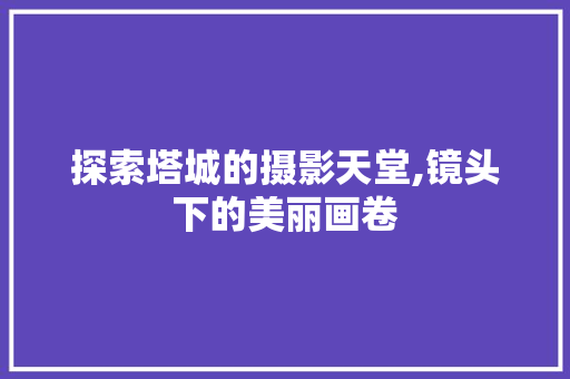 探索塔城的摄影天堂,镜头下的美丽画卷