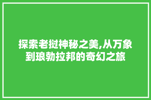 探索老挝神秘之美,从万象到琅勃拉邦的奇幻之旅