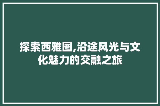 探索西雅图,沿途风光与文化魅力的交融之旅