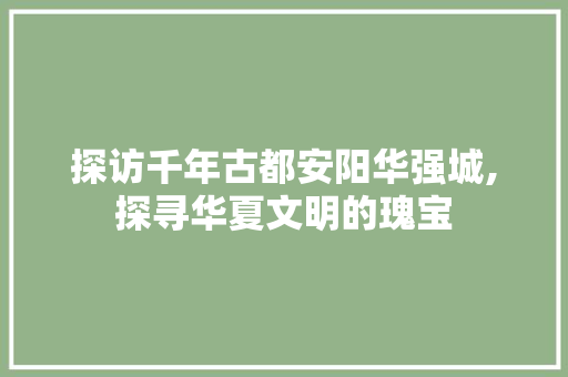 探访千年古都安阳华强城,探寻华夏文明的瑰宝