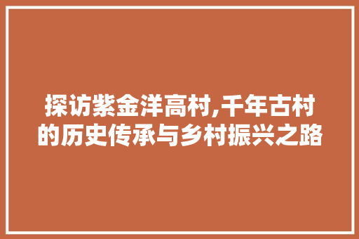 探访紫金洋高村,千年古村的历史传承与乡村振兴之路