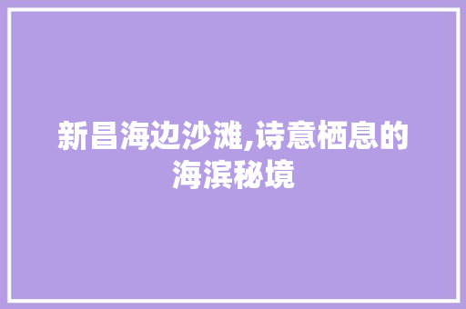 新昌海边沙滩,诗意栖息的海滨秘境