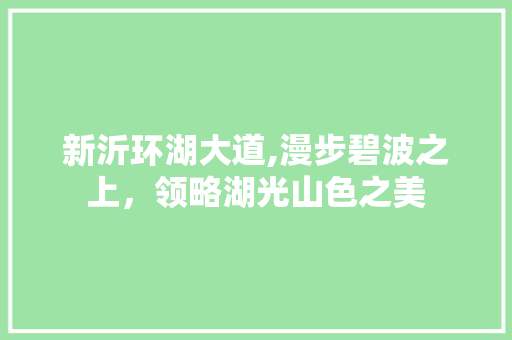 新沂环湖大道,漫步碧波之上，领略湖光山色之美