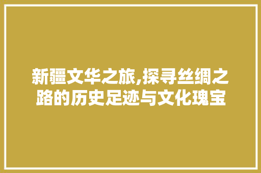 新疆文华之旅,探寻丝绸之路的历史足迹与文化瑰宝