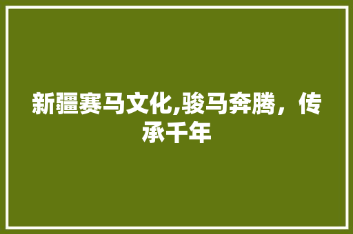 新疆赛马文化,骏马奔腾，传承千年  第1张