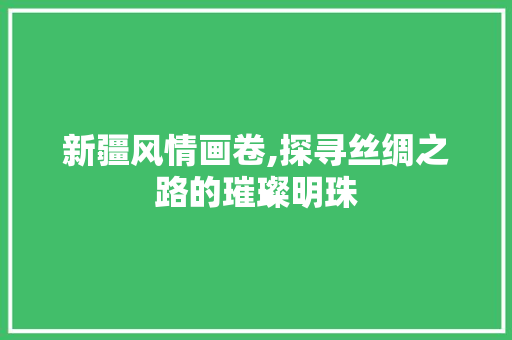 新疆风情画卷,探寻丝绸之路的璀璨明珠