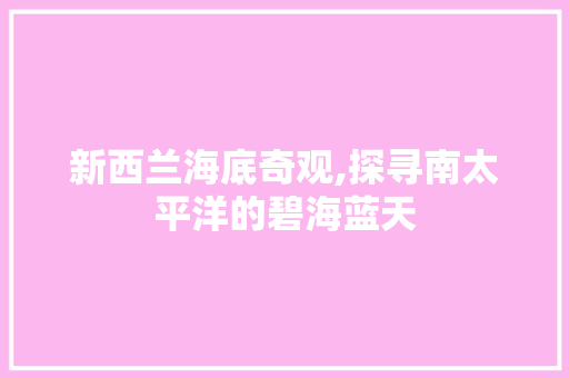 新西兰海底奇观,探寻南太平洋的碧海蓝天