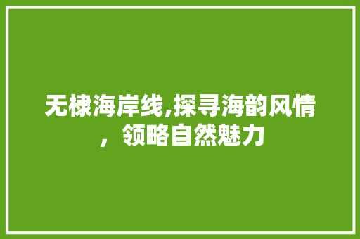 无棣海岸线,探寻海韵风情，领略自然魅力