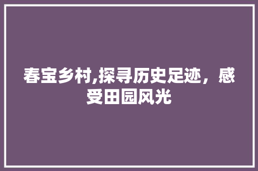 春宝乡村,探寻历史足迹，感受田园风光