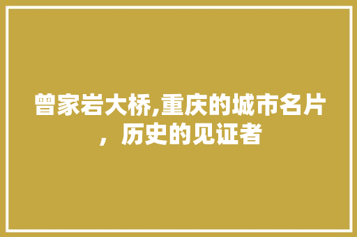 曾家岩大桥,重庆的城市名片，历史的见证者