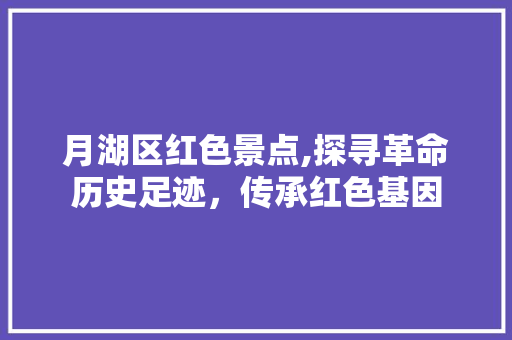 月湖区红色景点,探寻革命历史足迹，传承红色基因