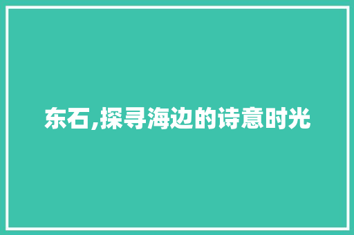 东石,探寻海边的诗意时光