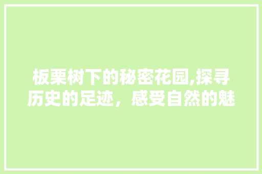 板栗树下的秘密花园,探寻历史的足迹，感受自然的魅力