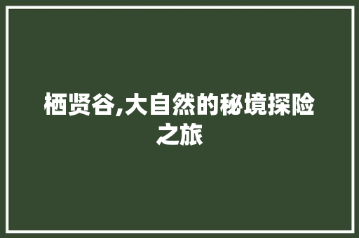 栖贤谷,大自然的秘境探险之旅