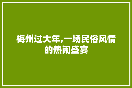 梅州过大年,一场民俗风情的热闹盛宴