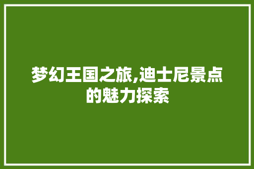 梦幻王国之旅,迪士尼景点的魅力探索