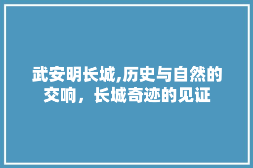 武安明长城,历史与自然的交响，长城奇迹的见证