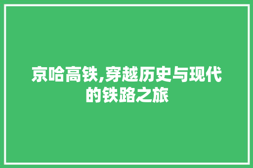 京哈高铁,穿越历史与现代的铁路之旅