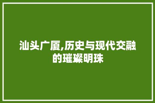 汕头广厦,历史与现代交融的璀璨明珠