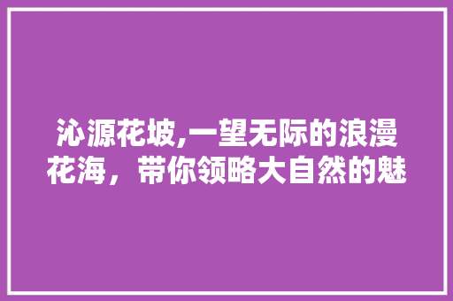 沁源花坡,一望无际的浪漫花海，带你领略大自然的魅力