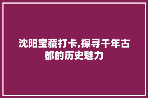 沈阳宝藏打卡,探寻千年古都的历史魅力