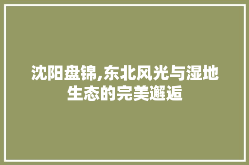 沈阳盘锦,东北风光与湿地生态的完美邂逅