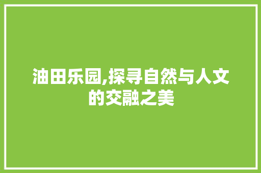 油田乐园,探寻自然与人文的交融之美