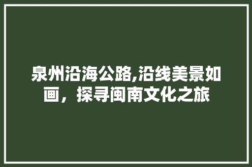 泉州沿海公路,沿线美景如画，探寻闽南文化之旅