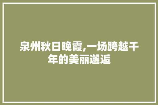 泉州秋日晚霞,一场跨越千年的美丽邂逅