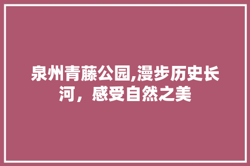 泉州青藤公园,漫步历史长河，感受自然之美