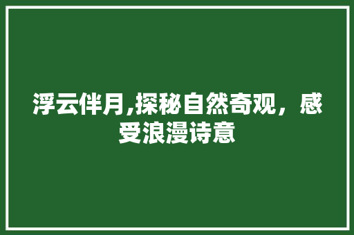 浮云伴月,探秘自然奇观，感受浪漫诗意