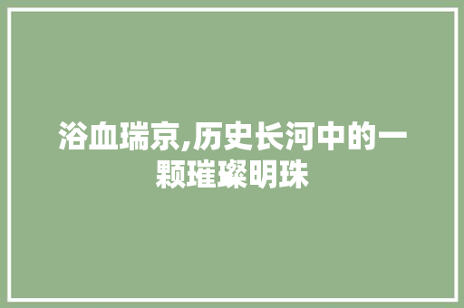 浴血瑞京,历史长河中的一颗璀璨明珠