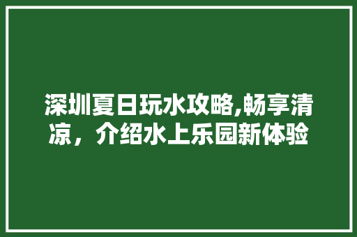 深圳夏日玩水攻略,畅享清凉，介绍水上乐园新体验